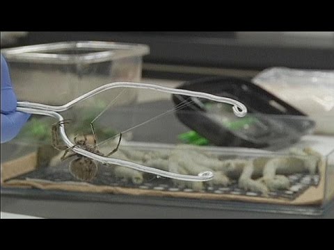 I RAGNI E IL GAS – science
