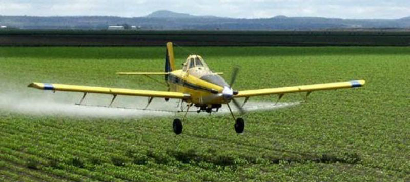 Cinque pesticidi classificati cancerogeni "probabili" o "possibili" -