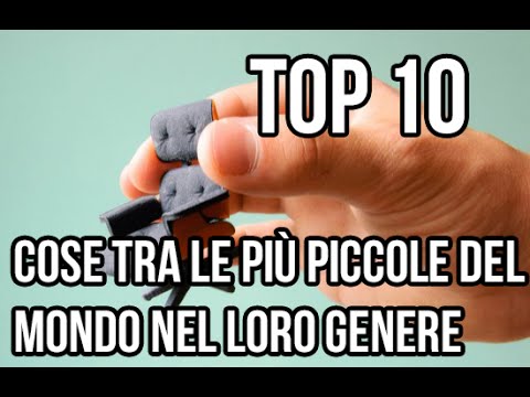✔ TOP 10 cose tra le più piccole del mondo nel loro genere