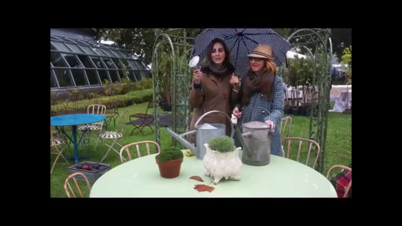 Come e perchè riutilizzare l’acqua piovana per le piante 2 Ladies in giardino