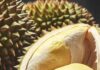 Durian: storia, curina e proprietà nutritive del frutto di origine asiatica