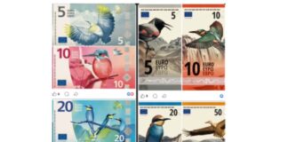 Gli uccelli tipici d’Europa sulle nuove banconote: votazione online per decidere se introdurli nell’euro
