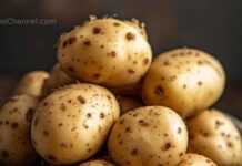 Posso mangiare le patate germogliate oppure rischio un’intossicazione?